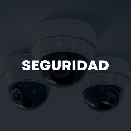 SEGURIDAD