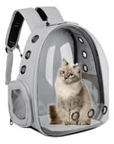 Maleta de gatos